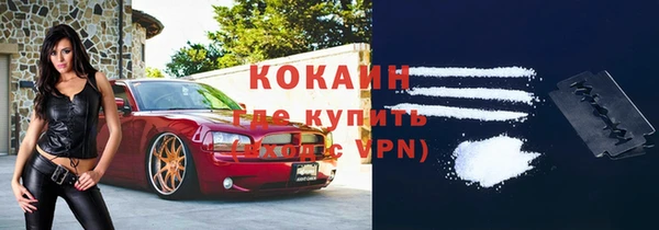 дурь Алексин