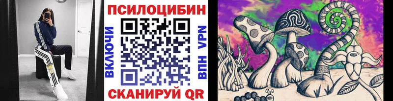 Псилоцибиновые грибы Psilocybine cubensis  Лаишево 